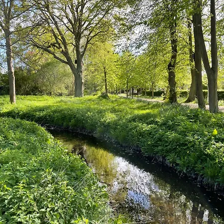 An Der Au - Ebenerdig, Gemuetlich & Kompakt